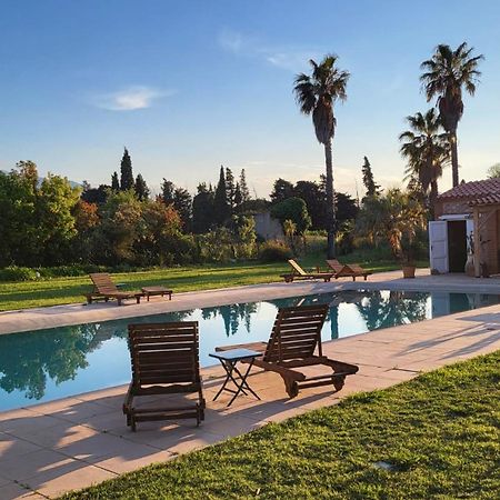 "Mas Tramontane "Chambres D'Hotes Et Studio Avec Piscine Dans Parc Arbore Ille-sur-Têt Екстериор снимка