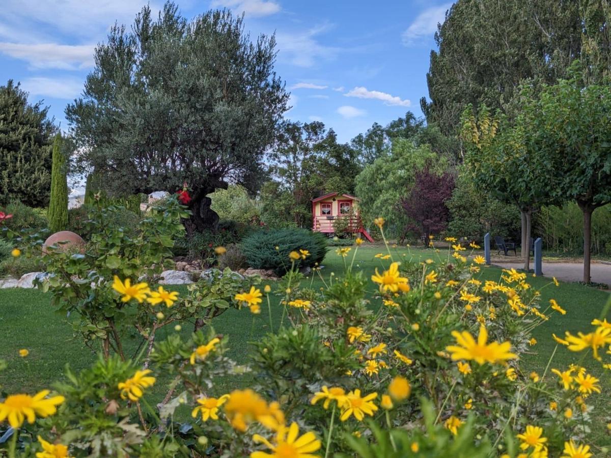 "Mas Tramontane "Chambres D'Hotes Et Studio Avec Piscine Dans Parc Arbore Ille-sur-Têt Екстериор снимка